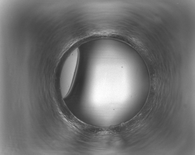 X0000061150544200511181035