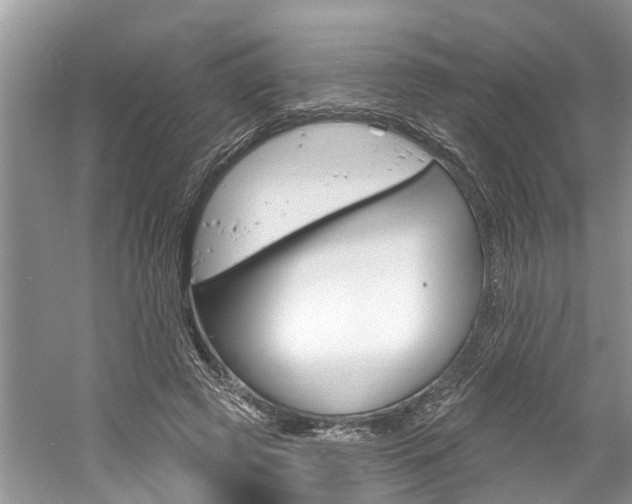 X0000061150545200511181035