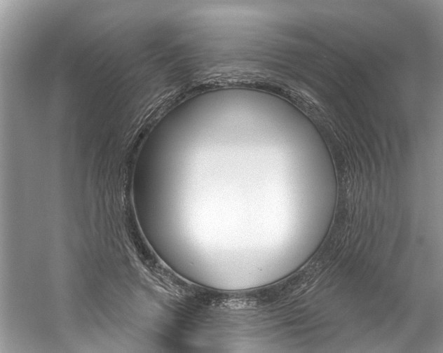 X0000061150546200511181035