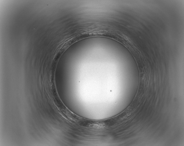 X0000061150548200511181035