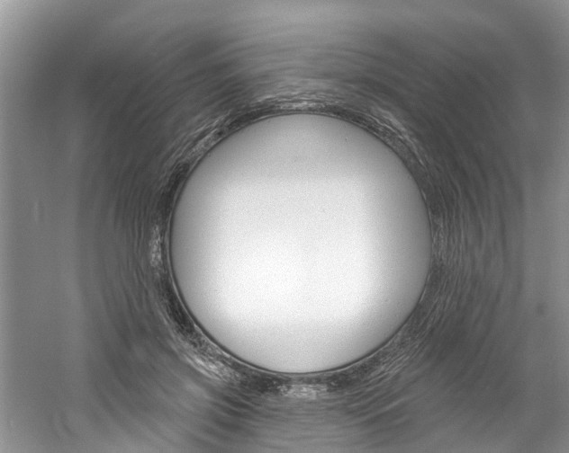 X0000061150549200511181035