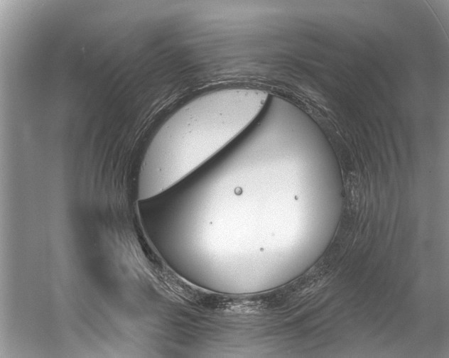 X0000061150550200511181035