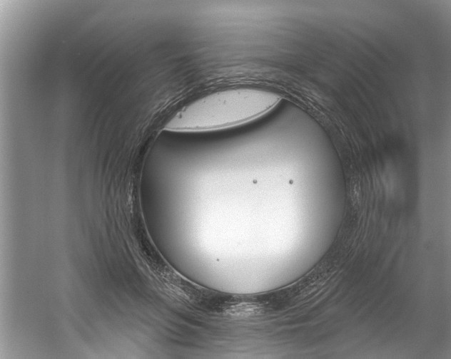 X0000061150551200511181035