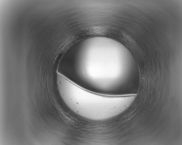 X0000061150552200511181035