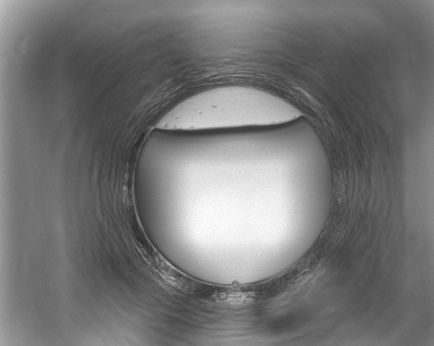 X0000061150553200511181035