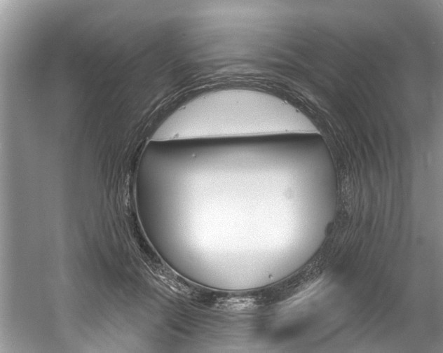 X0000061150554200511181035