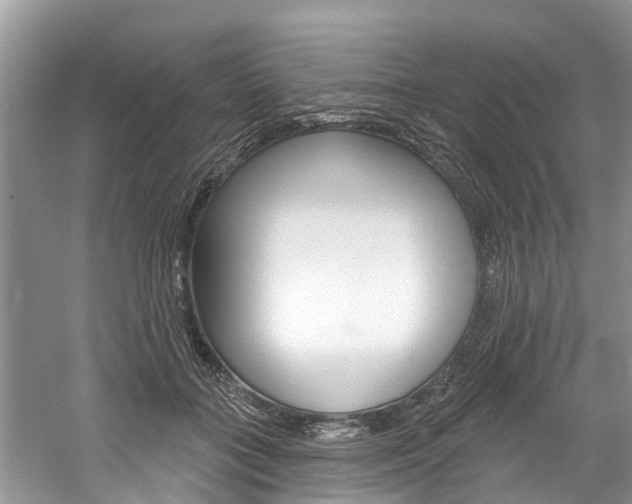 X0000061150555200511181035