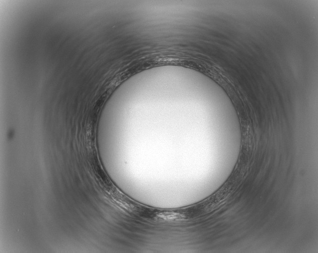 X0000061150557200511181036