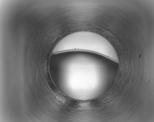 X0000061150560200511181036