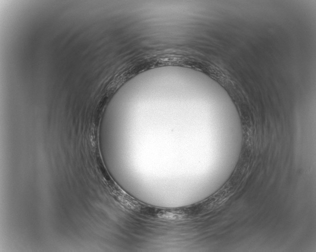 X0000061150561200511181036