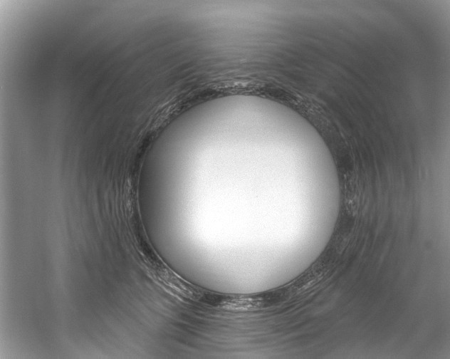 X0000061150563200511181036