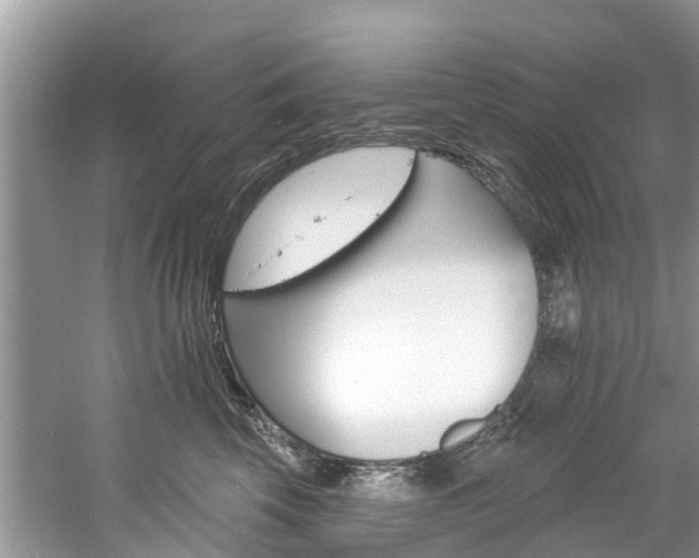 X0000061150569200511181036