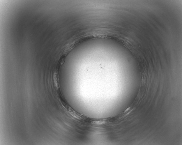 X0000061150575200511181036