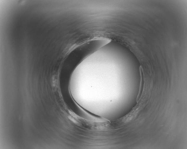 X0000061150576200511181036