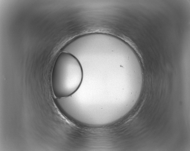 X0000061150577200511181035