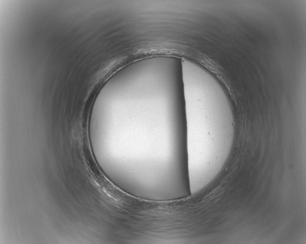 X0000061150578200511181035