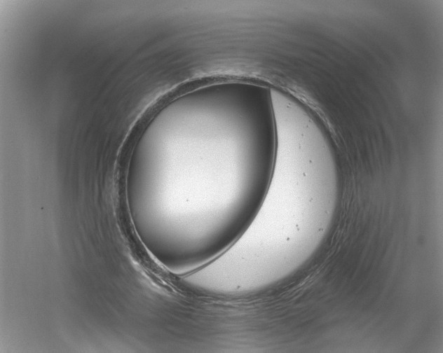 X0000061150580200511181035