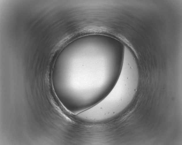 X0000061150581200511181035