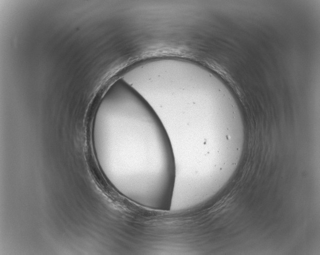 X0000061150582200511181035