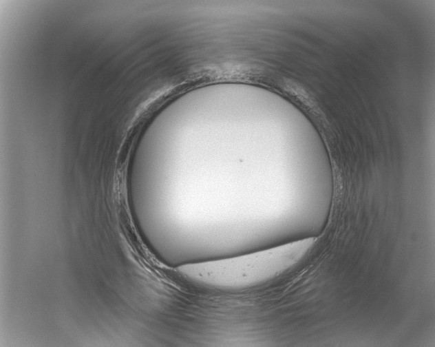 X0000061150583200511181035