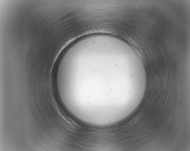 X0000061150584200511181035