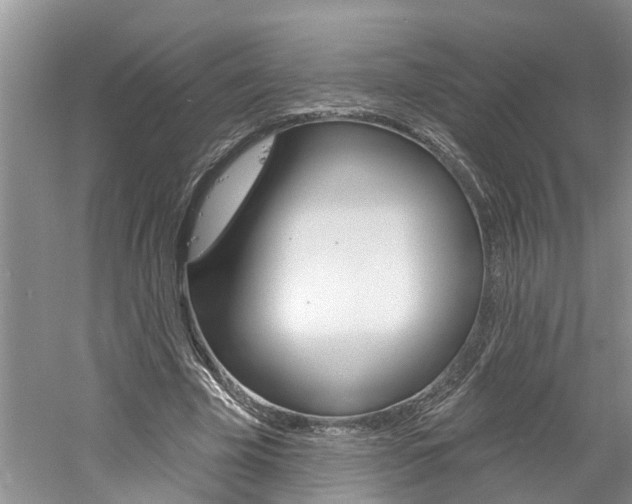 X0000061150585200511181035