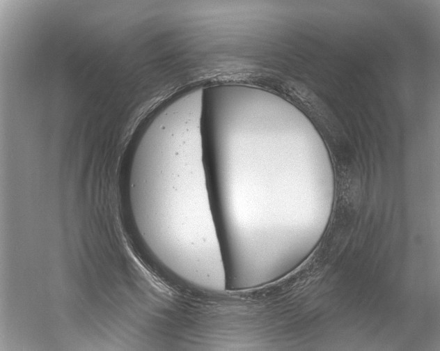 X0000061150586200511181035