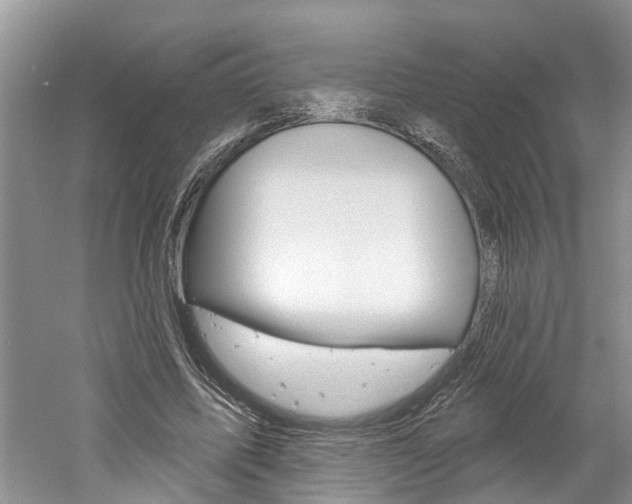 X0000061150587200511181035