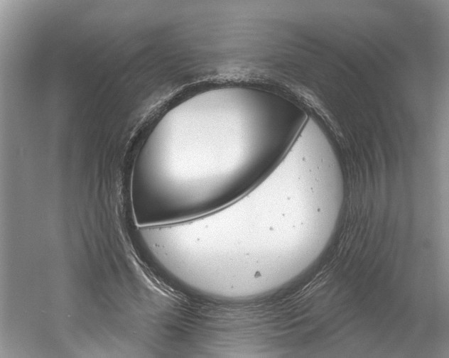 X0000061150588200511181035