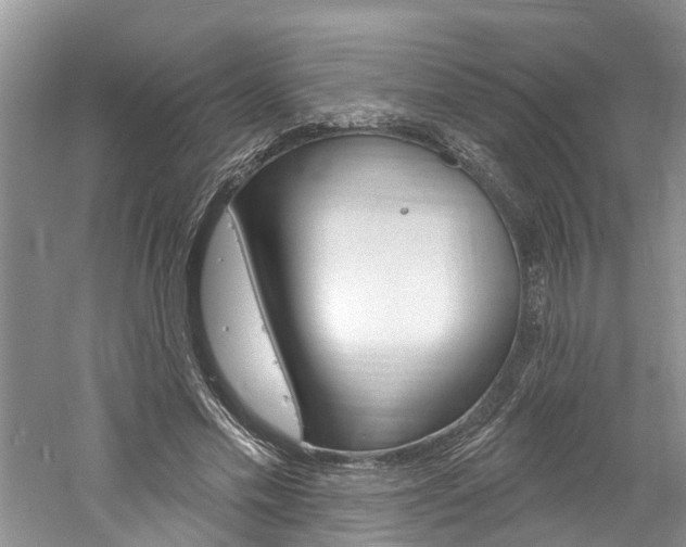 X0000061150589200511181035