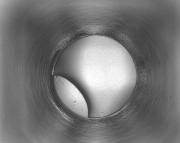 X0000061150590200511181035