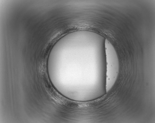 X0000061150591200511181035