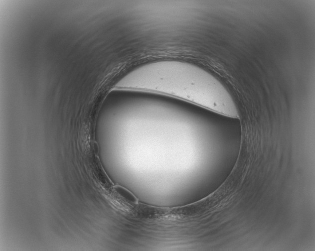 X0000061150593200511181035