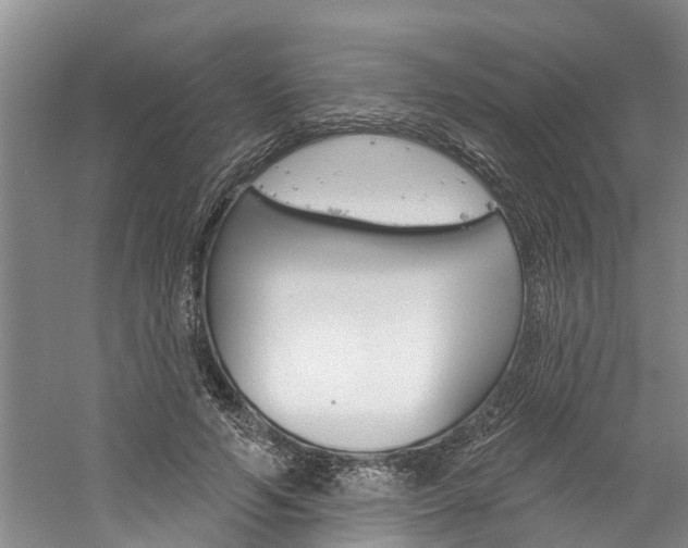 X0000061150594200511181035