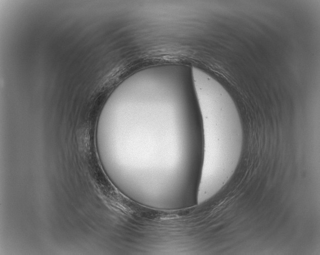 X0000061150595200511181035