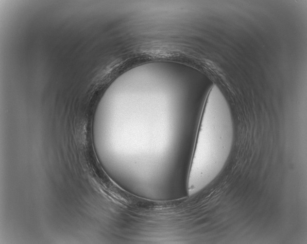 X0000061150596200511181035