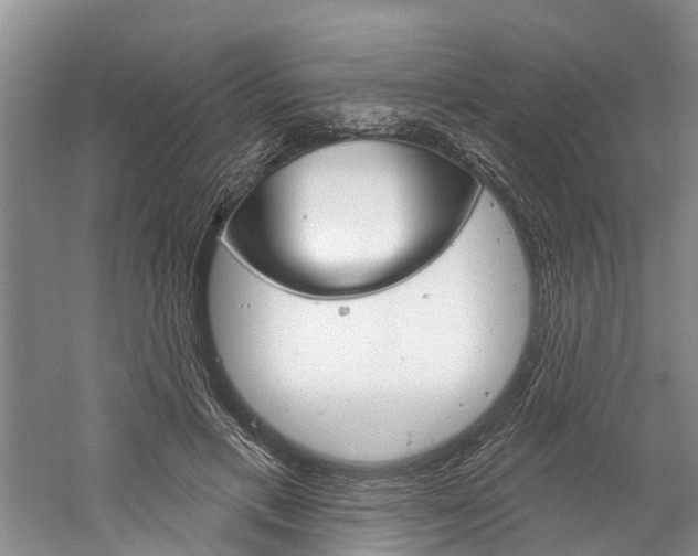 X0000061150597200511181035