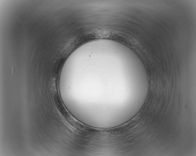 X0000061150598200511181035