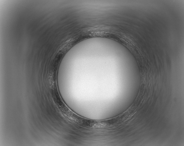 X0000061150599200511181035