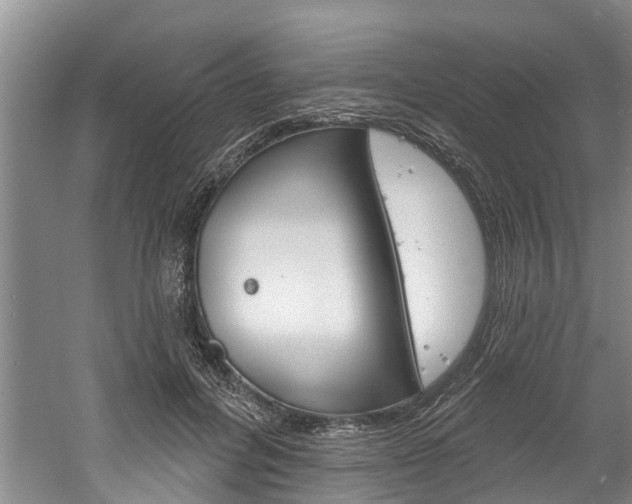 X0000061150600200511181035