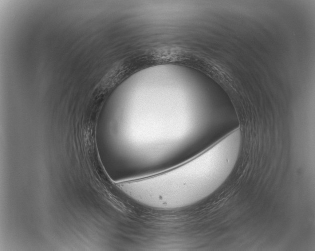 X0000061150601200511181035