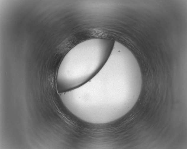 X0000061150602200511181035