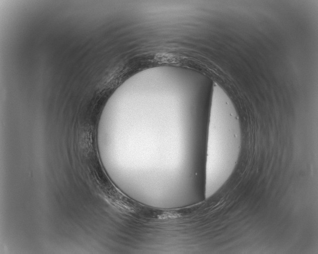 X0000061150603200511181035