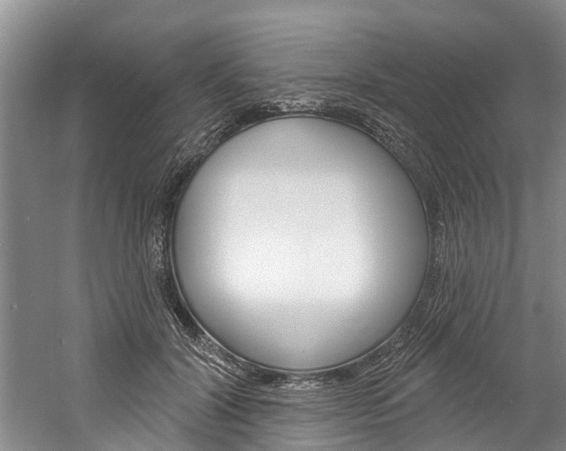 X0000061150604200511181035