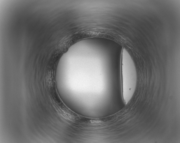 X0000061150605200511181035