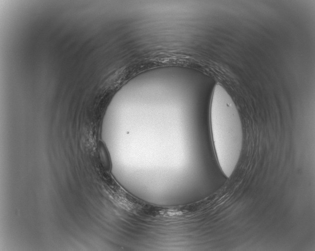 X0000061150607200511181035