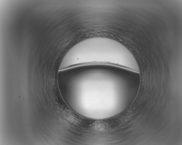 X0000061150608200511181034