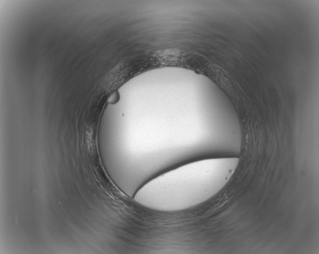 X0000061150610200511181034