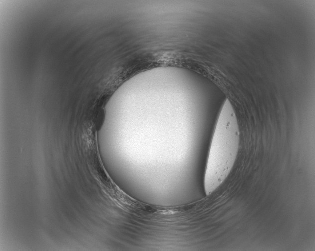 X0000061150611200511181034