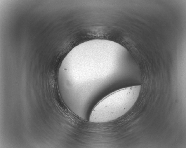 X0000061150612200511181034